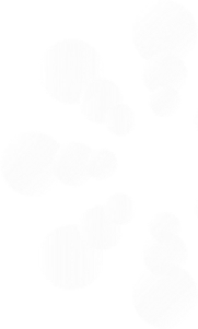 s7-shape-1-1.webp