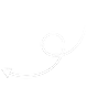 c8-icon-1.webp