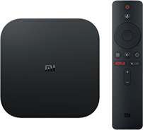 Product: Netfix Dual Whole Home Mesh TV Box